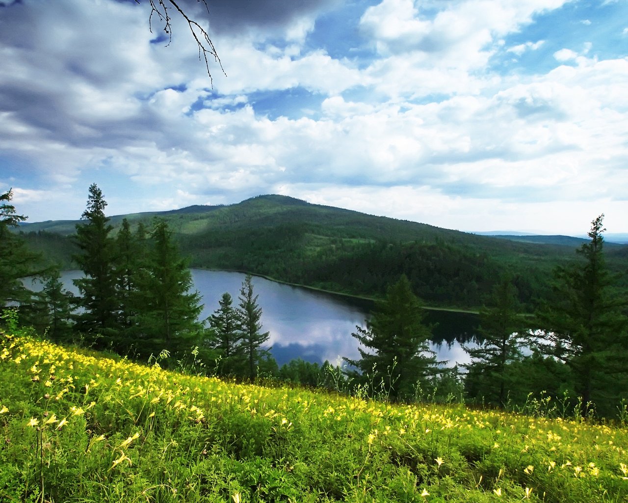 风景 途牛旅游 呼伦贝尔 摄影 旅游胜地