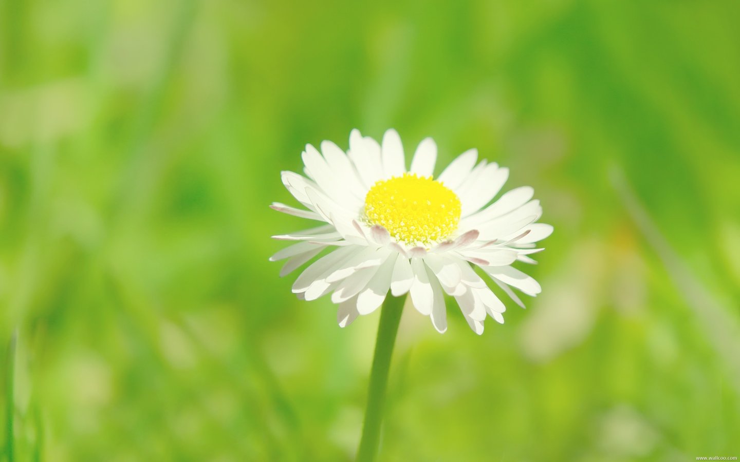 t01f4d09774e7a7ecad.jpg