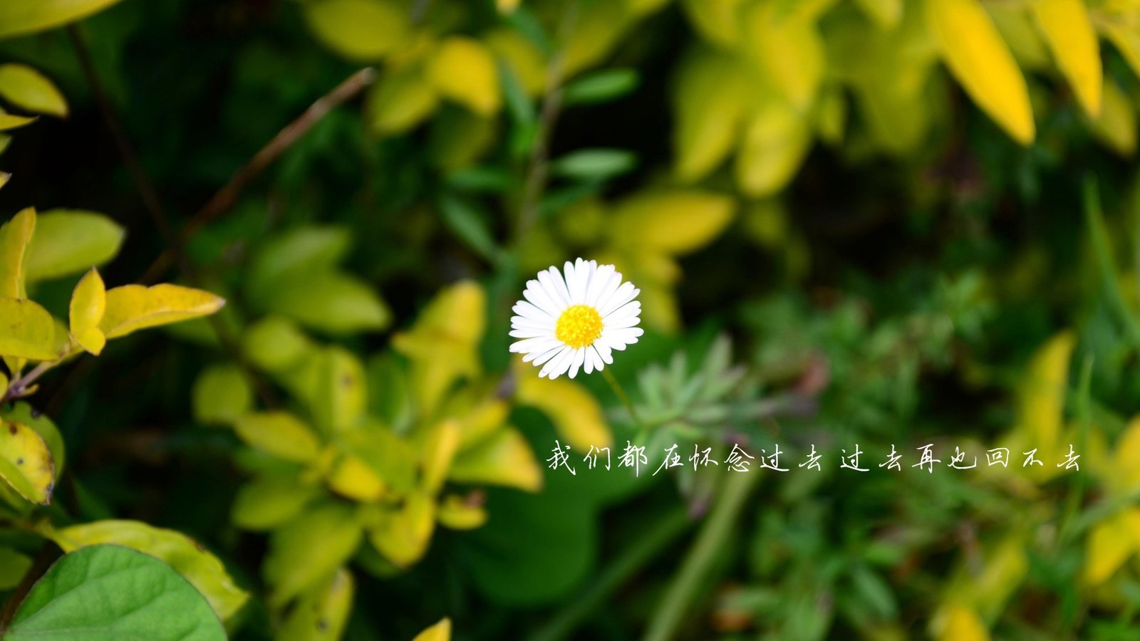 织梦网站被黑怎么办,织梦网站被挂马的解决办法