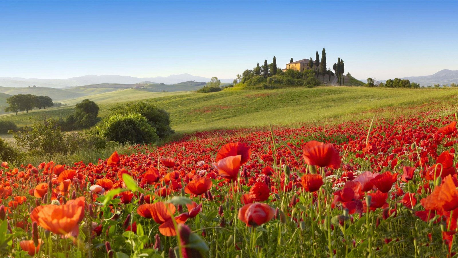 春意<em>盎然</em>图片_喝小酒的网摘