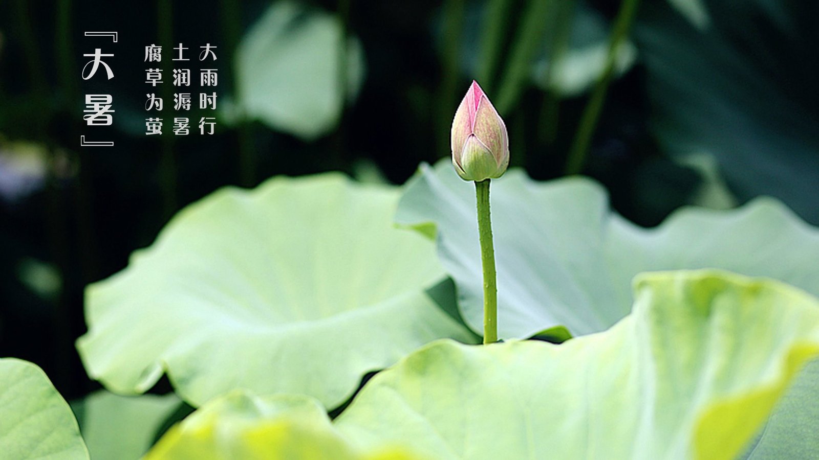 PbootCMS程序 - 免费网站开发,企业级网站内容管理系统