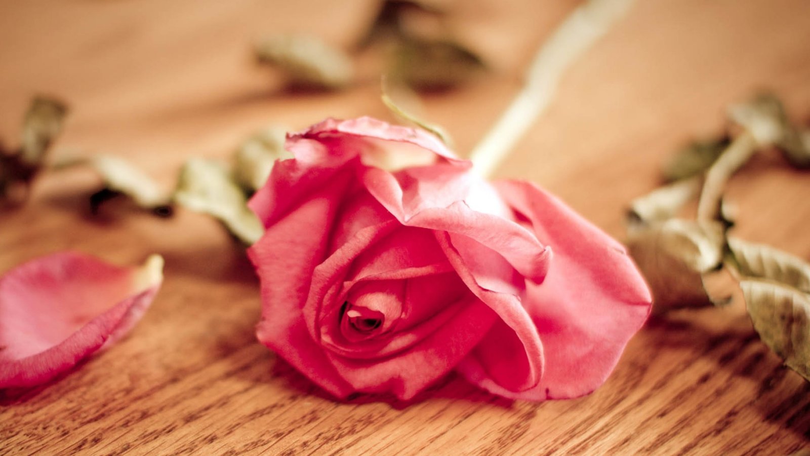 织梦自动读取模板目录,自由选择模板默认风格