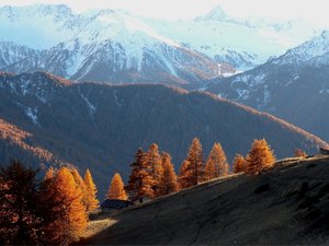 安卓超宽 全景 风景 高山 秋意正浓 mlgb手机壁纸
