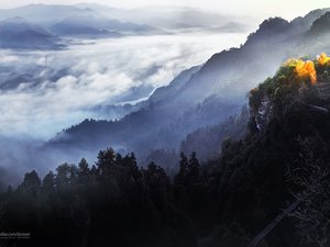 安卓子意 风景 风光 秋 美景 旅游 自然 360独家手机壁纸