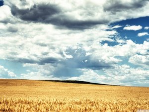 安卓风景 自然风光手机壁纸