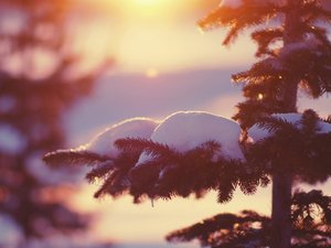 安卓风景 雪景 冬天手机壁纸