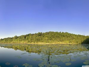 安卓风景 湖泊 树林手机壁纸