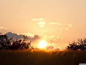 安卓风景 落日 夕阳 黄昏 落日余晖手机壁纸