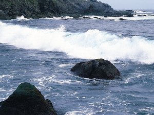 风景 大海 儿童桌面专用 海洋天堂