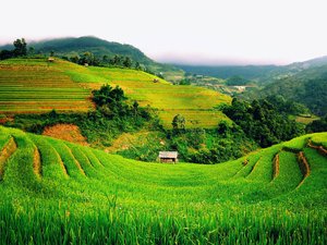 风景 旅游 越南