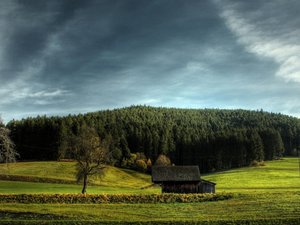 安卓小屋 小房子 野外 风景 风光 美景 旅游 自然手机壁纸