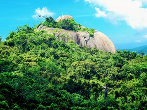 风景 旅游 海南