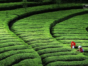 风景 国家地理 摄影 风光 风景 自然风光