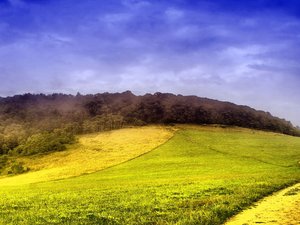 开阔 风景 阳光 大气 风光 碧绿草原