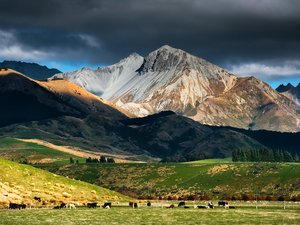 风景 自然 草原 山脉