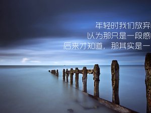 爱情 文案 大海