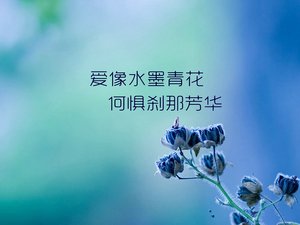 爱情 爱情箴言 我想你了