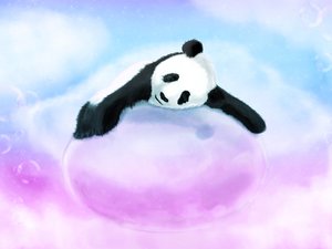 安卓动漫 卡通手绘 熊猫手机壁纸