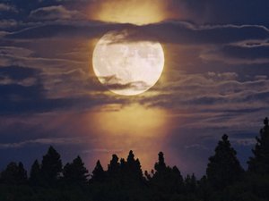 安卓风景 夜晚 月亮手机壁纸