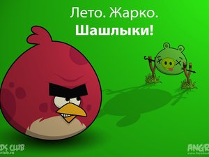 愤怒的小鸟 Angry Birds 可爱 卡通 游戏 宽屏