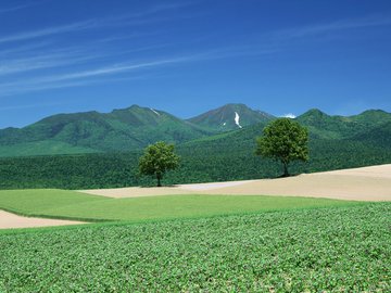 风景 自然风光 大自然 唯美 日本 北海道 日系 旅游胜地