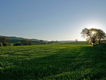 清新美景 风景 风光 美景 旅游 自然