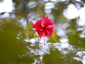 小清新 清新淡雅