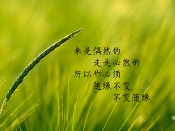 创意 励志 正能量