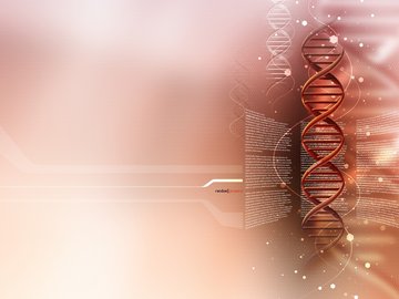 创意 设计 科技 DNA