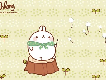 动漫 molang