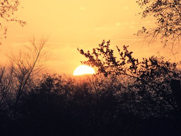 风景 自然 太阳