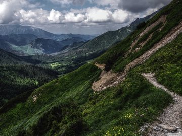 风景 公路