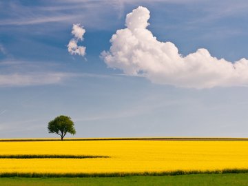 风景 美景 梦幻 唯美 放飞心情 蓝天白云 自然风光