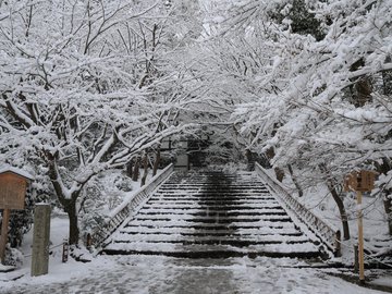 开阔 风景 阳光 大气 旅游 风光 自然风光