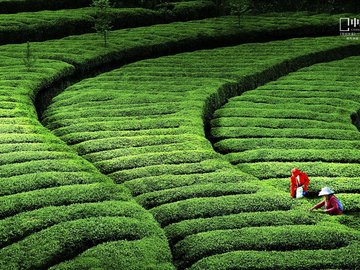 风景 国家地理 摄影 风光 风景 自然风光