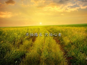 小清新 温馨一刻 温馨