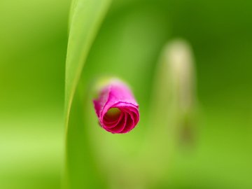 小清新 清新淡雅