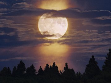 风景 夜晚 月亮