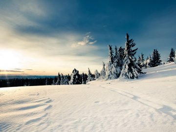 风景 银装素裹 冰天雪地