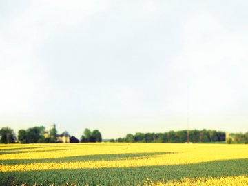 超宽 全景 风景 碧绿草原 mlgb