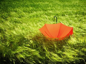 清新 温馨 雨伞