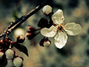 小清新 清爽 温馨 静物写真