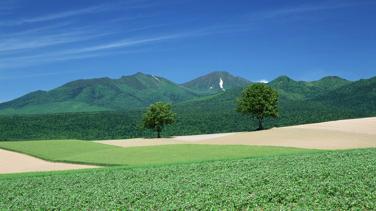 风景 自然风光 大自然 唯美 日本 北海道 日系 旅游胜地