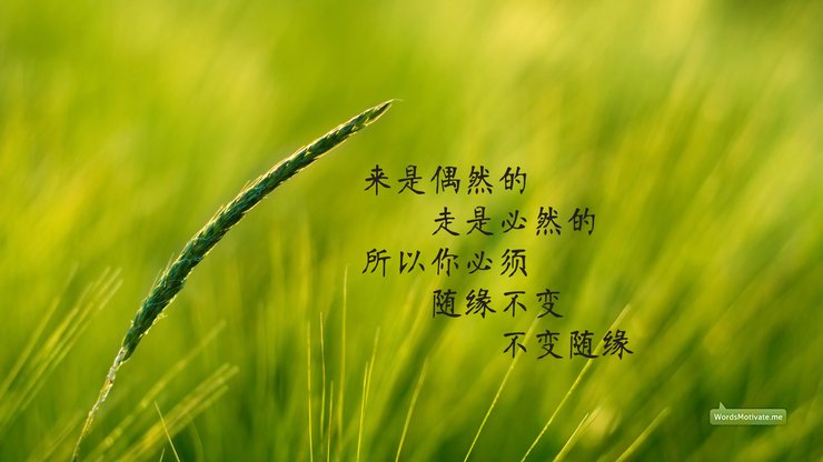 创意 励志 正能量