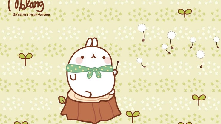 动漫 molang