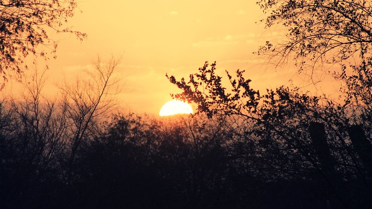 风景 自然 太阳