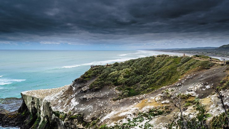 风景 自然 新西兰 海岸