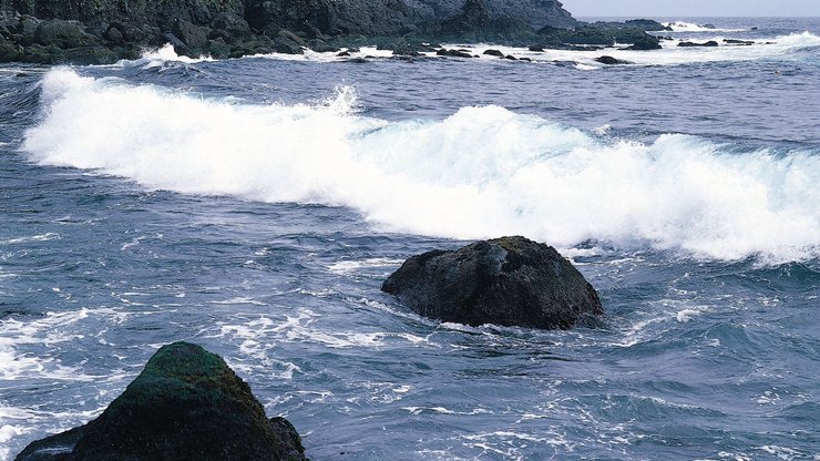 风景 大海 儿童桌面专用 海洋天堂