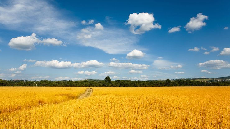 风景 风光 美景 大自然 旅游