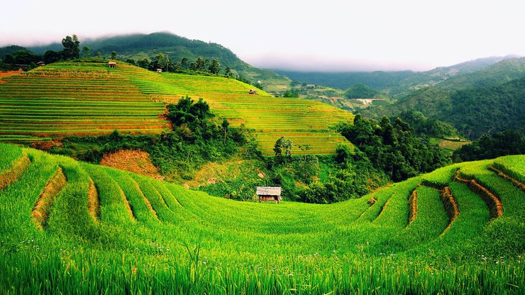 风景 旅游 越南